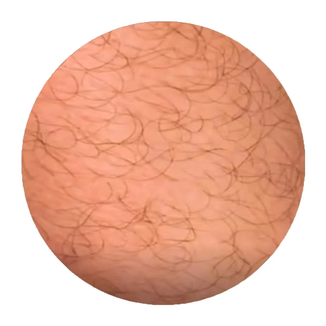 before-v1653997761228p